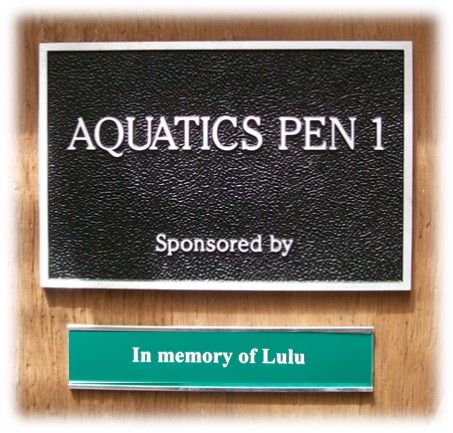 Aquatic Pen - Wild ARC - Image 5