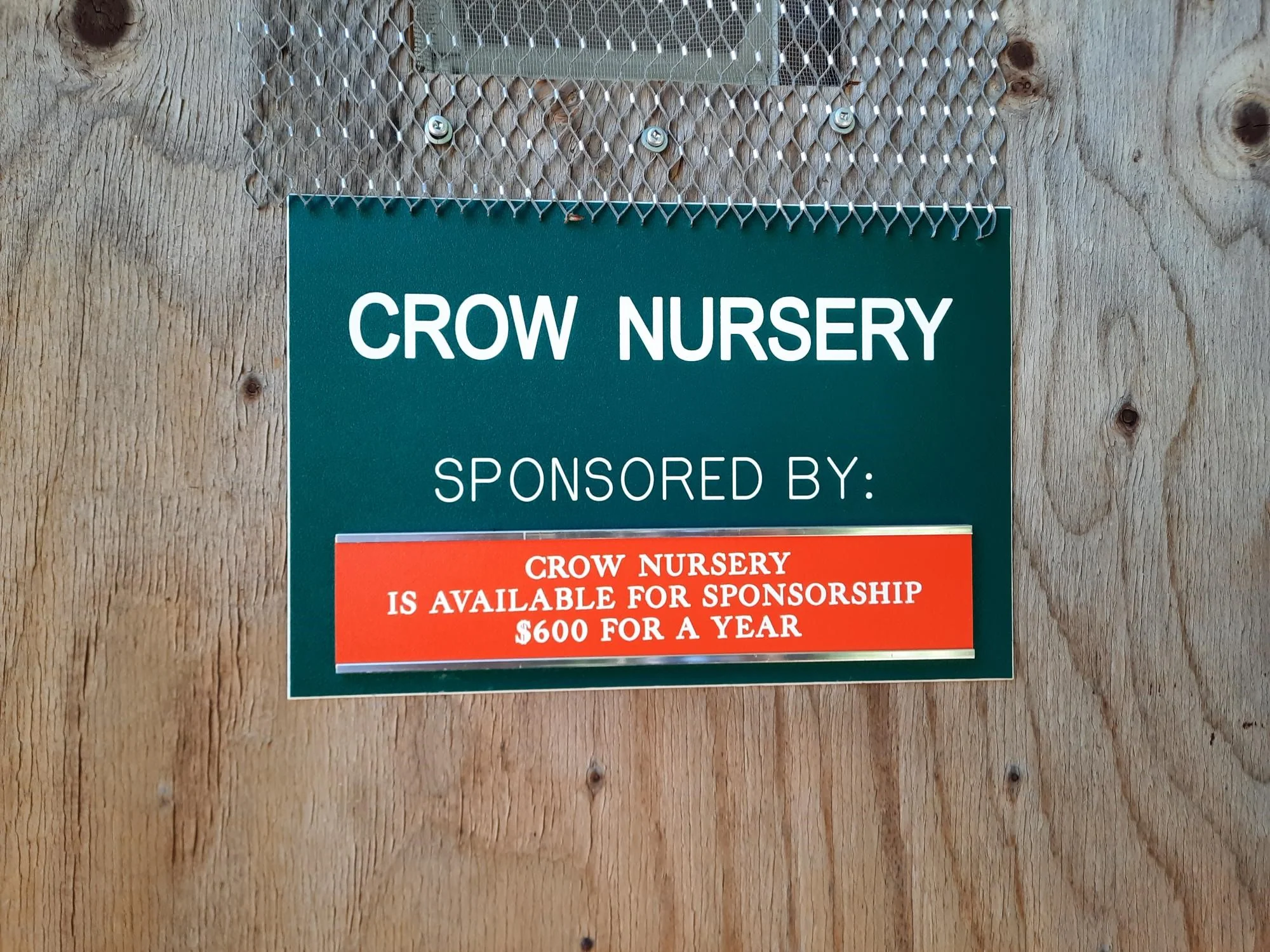 Crow nursery - Wild ARC - Image 5
