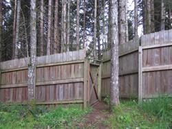 Deer Pen - Wild ARC - Image 6