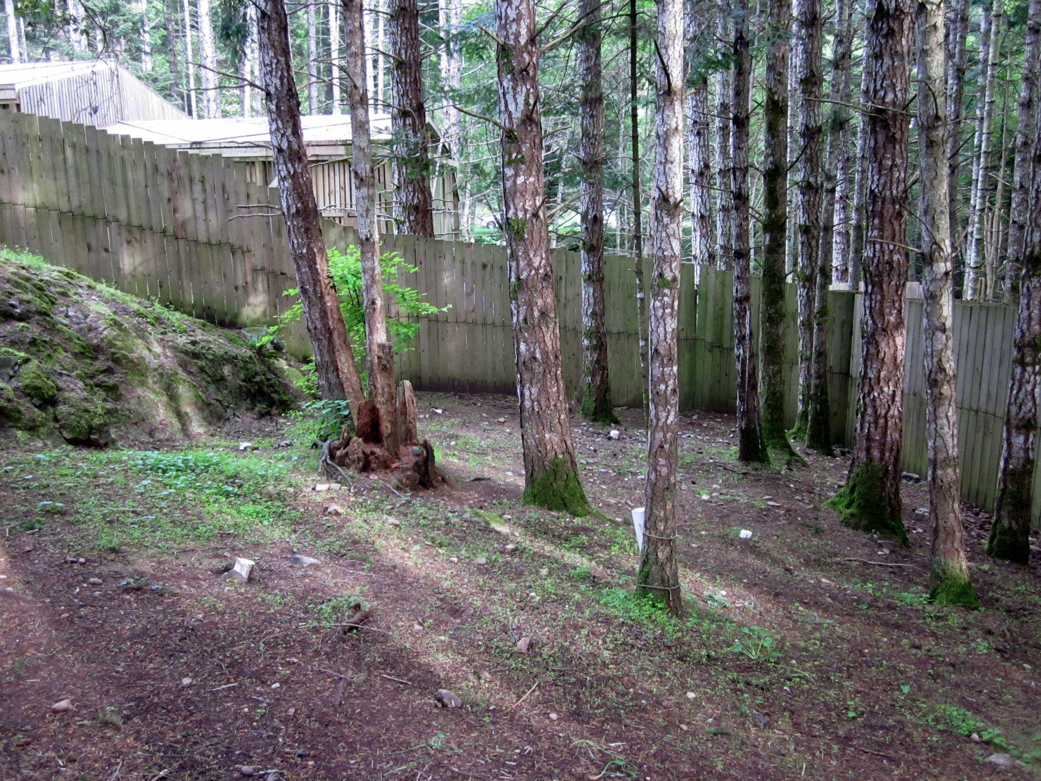 Deer Pen - Wild ARC - Image 8