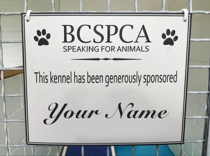 Dog Kennel - Image 4