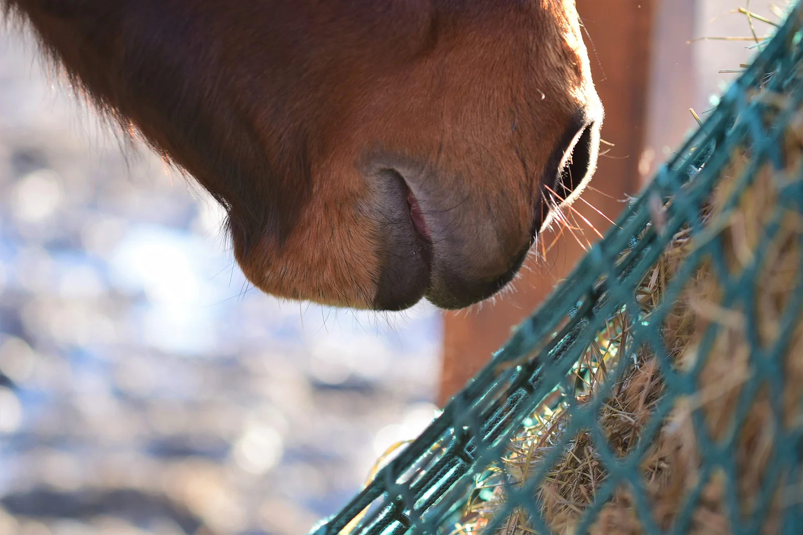 Farm Care Equipment and Supplies
