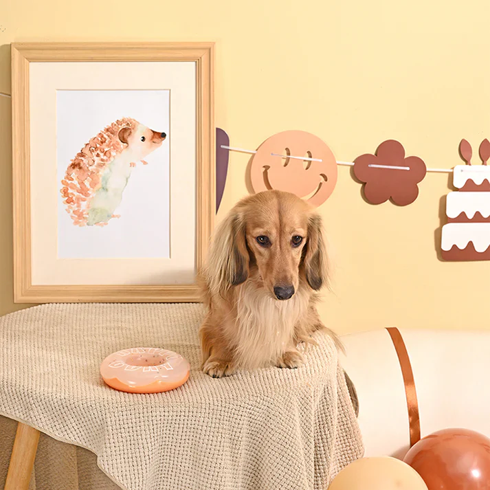 HUGSMART - Birthday Donut - Image 3