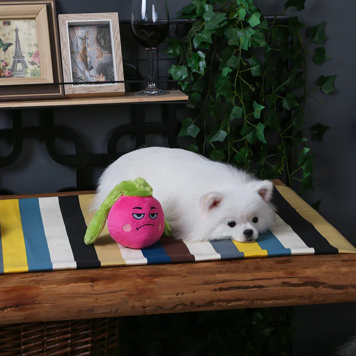 HUGSMART - Feisty Veggie – Radish - Image 4