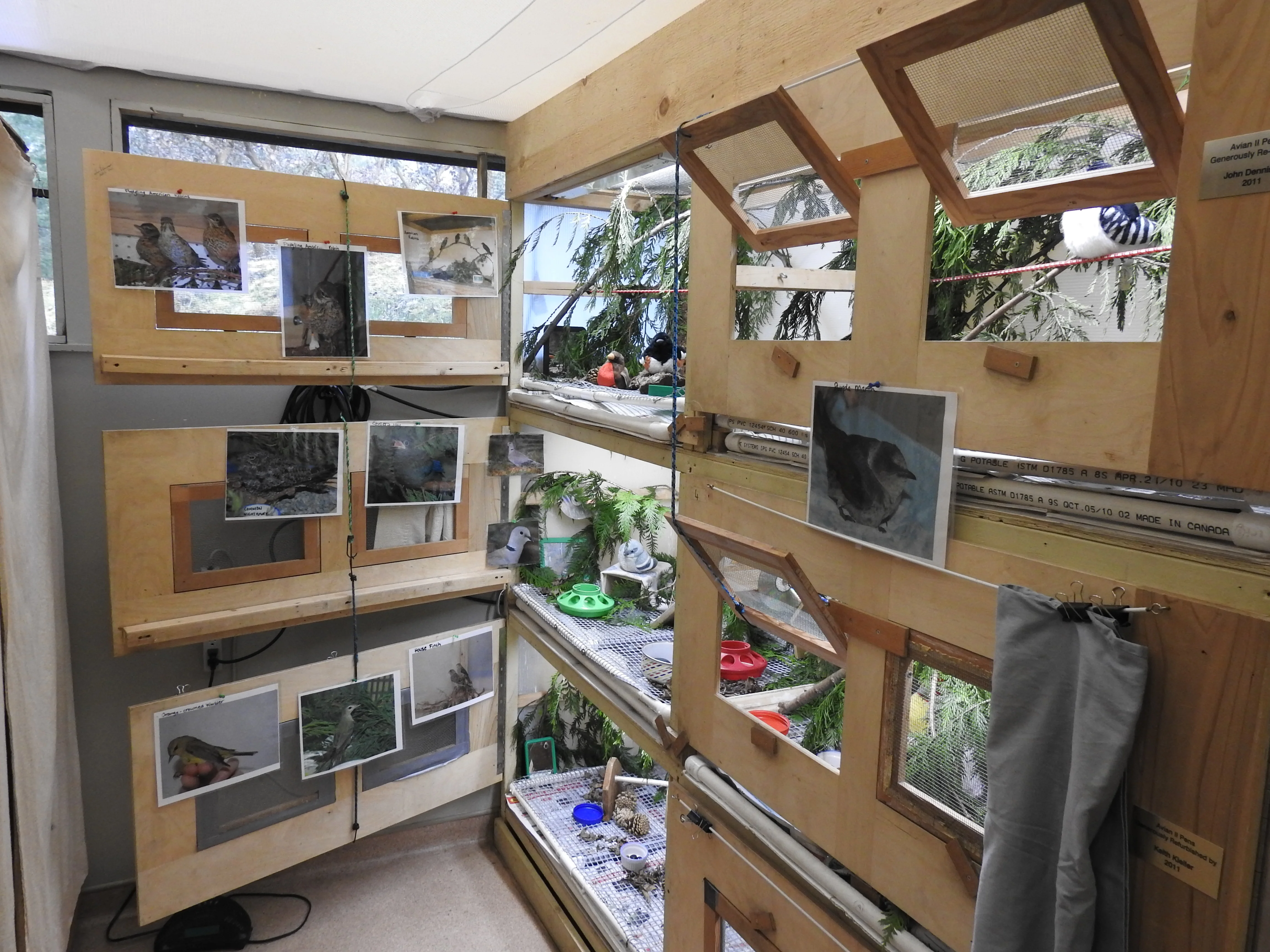 Indoor Avian Wards - Wild ARC - Image 5