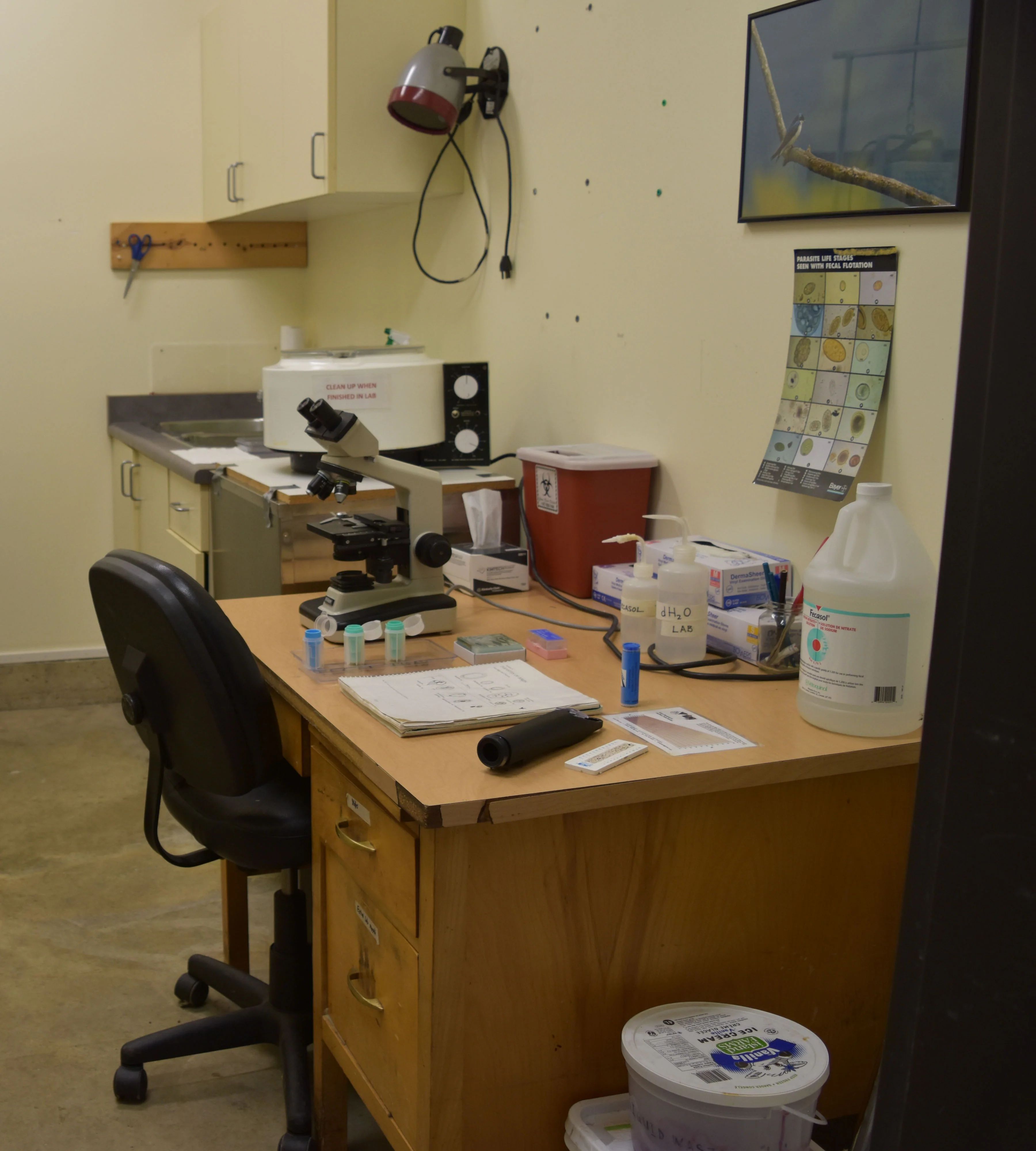 Laboratory - Wild ARC - Image 3