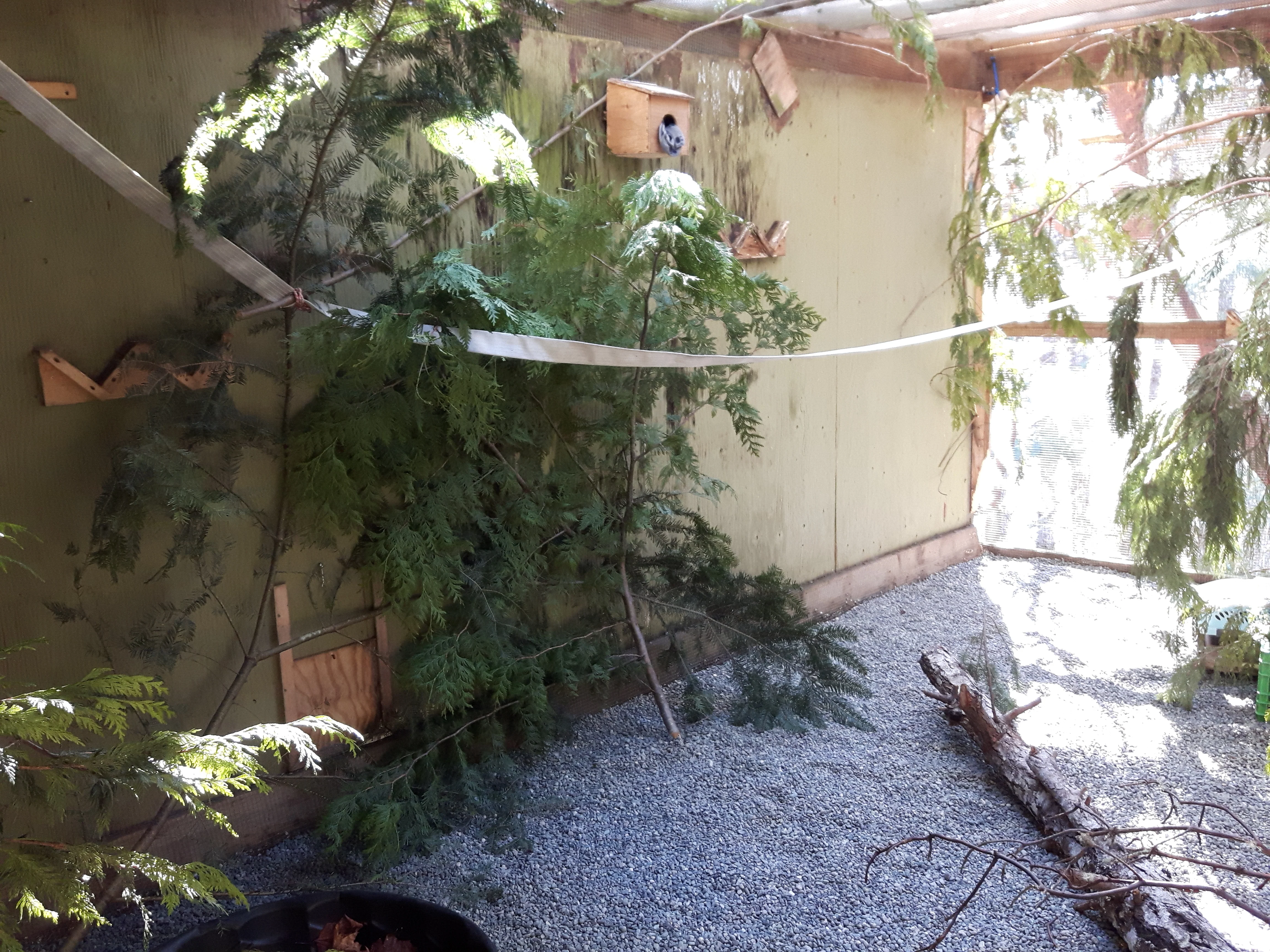 Outdoor Mammal Enclosure - Wild ARC - Image 4