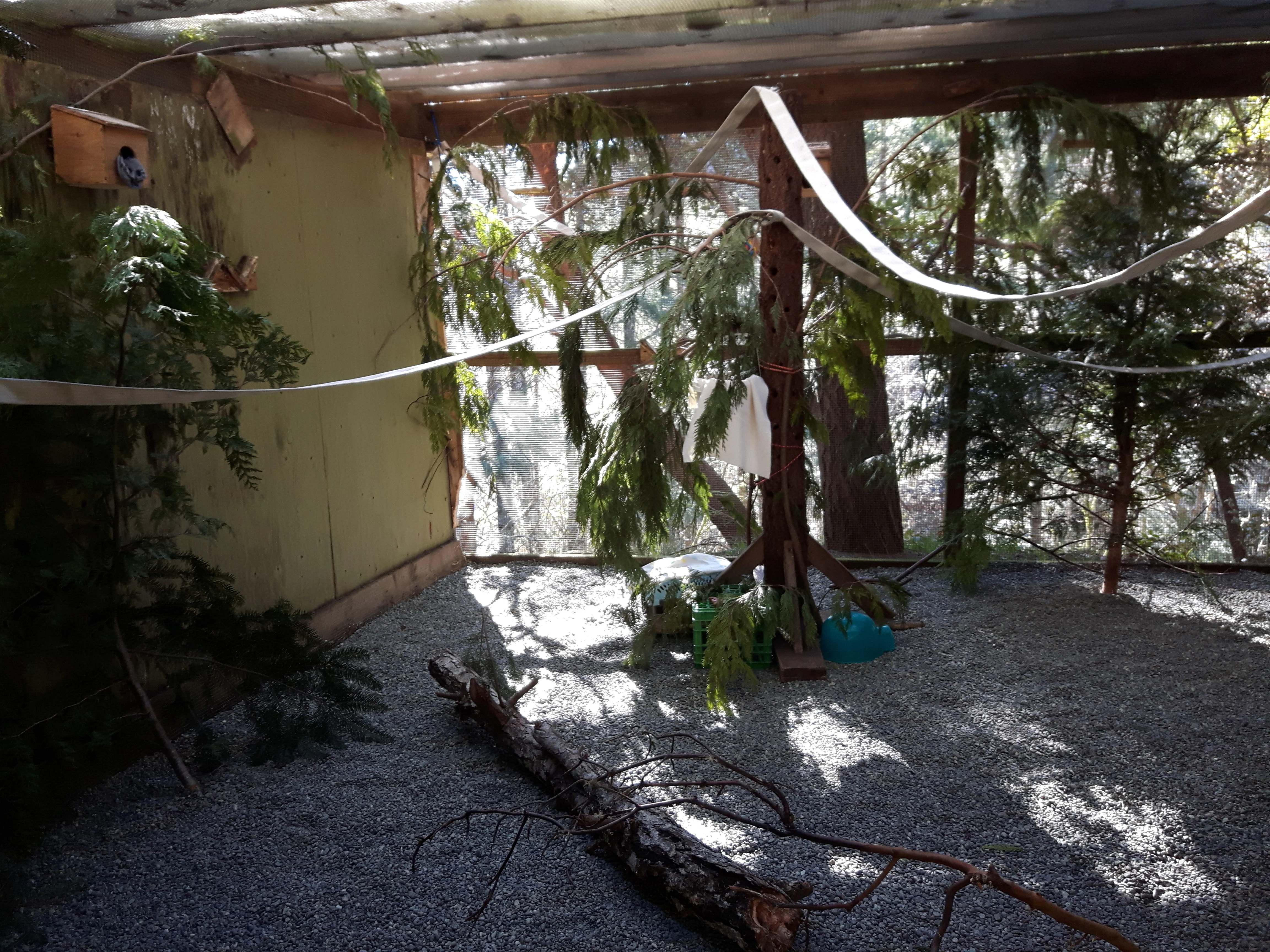 Outdoor Mammal Enclosure - Wild ARC - Image 5