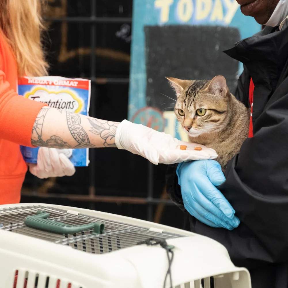 Outreach Support - Image 5