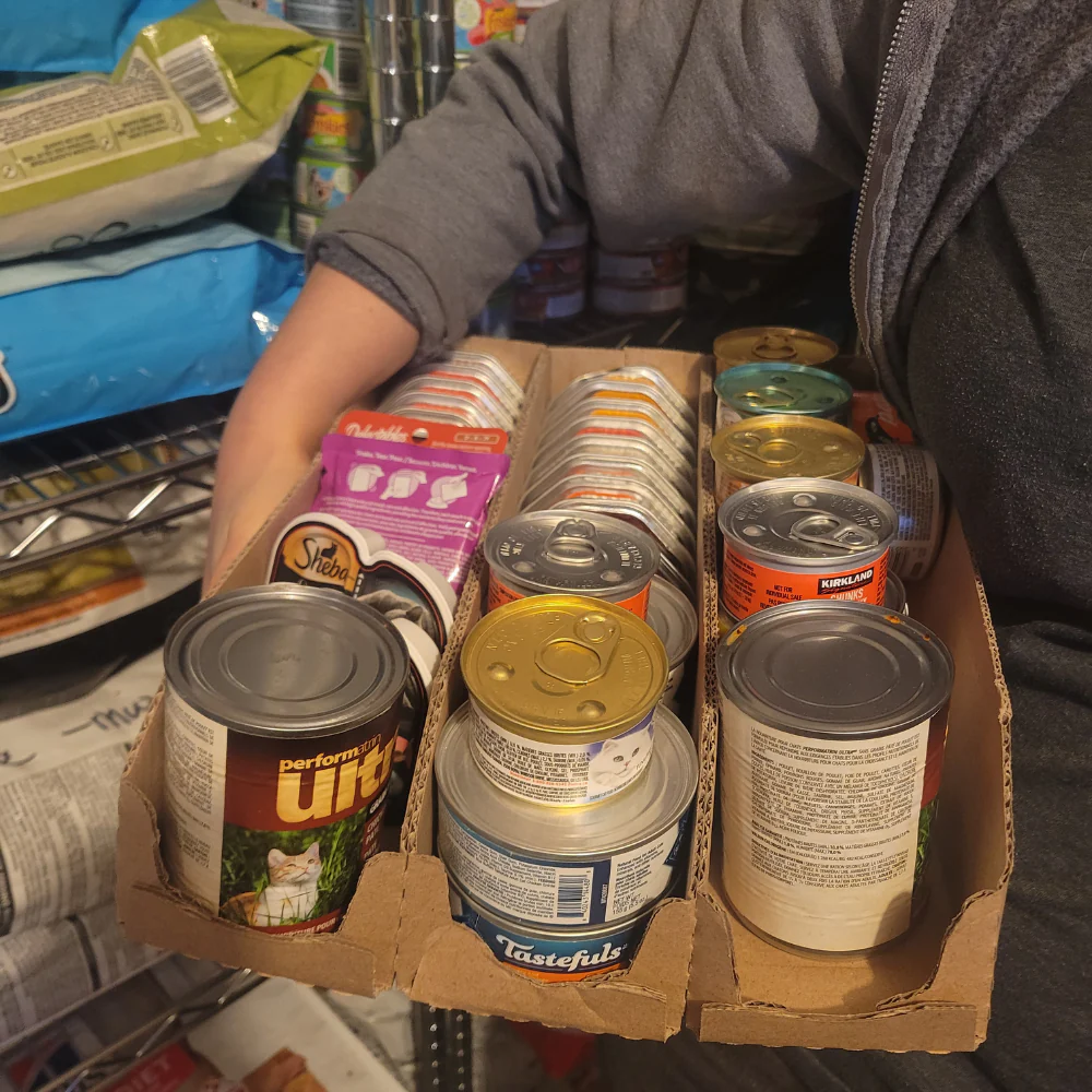 Community Support & Pet Food Banks - Image 6