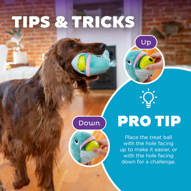 OUTWARD HOUND - Big Mouthz Interactive Plush Dog Puzzle - Image 5