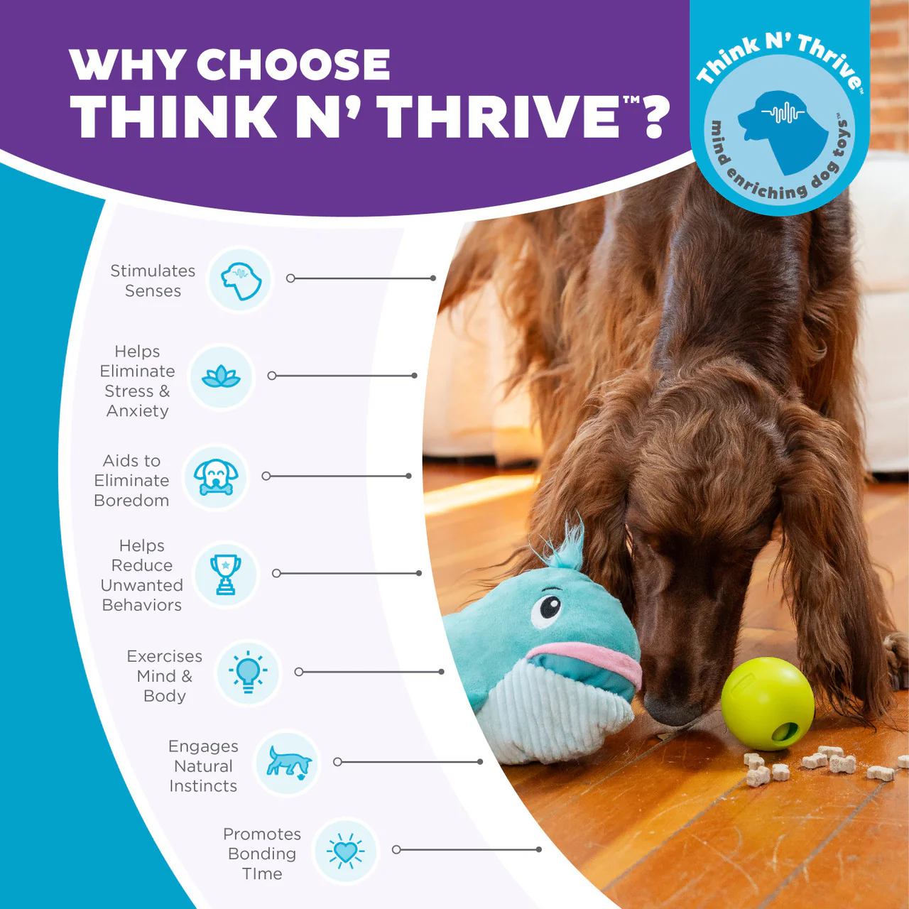 OUTWARD HOUND - Big Mouthz Interactive Plush Dog Puzzle - Image 6