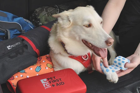 Pet First Aid Kit - Image 9