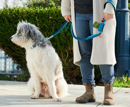 Pup Bag - Poop Bag Dispenser - Image 7