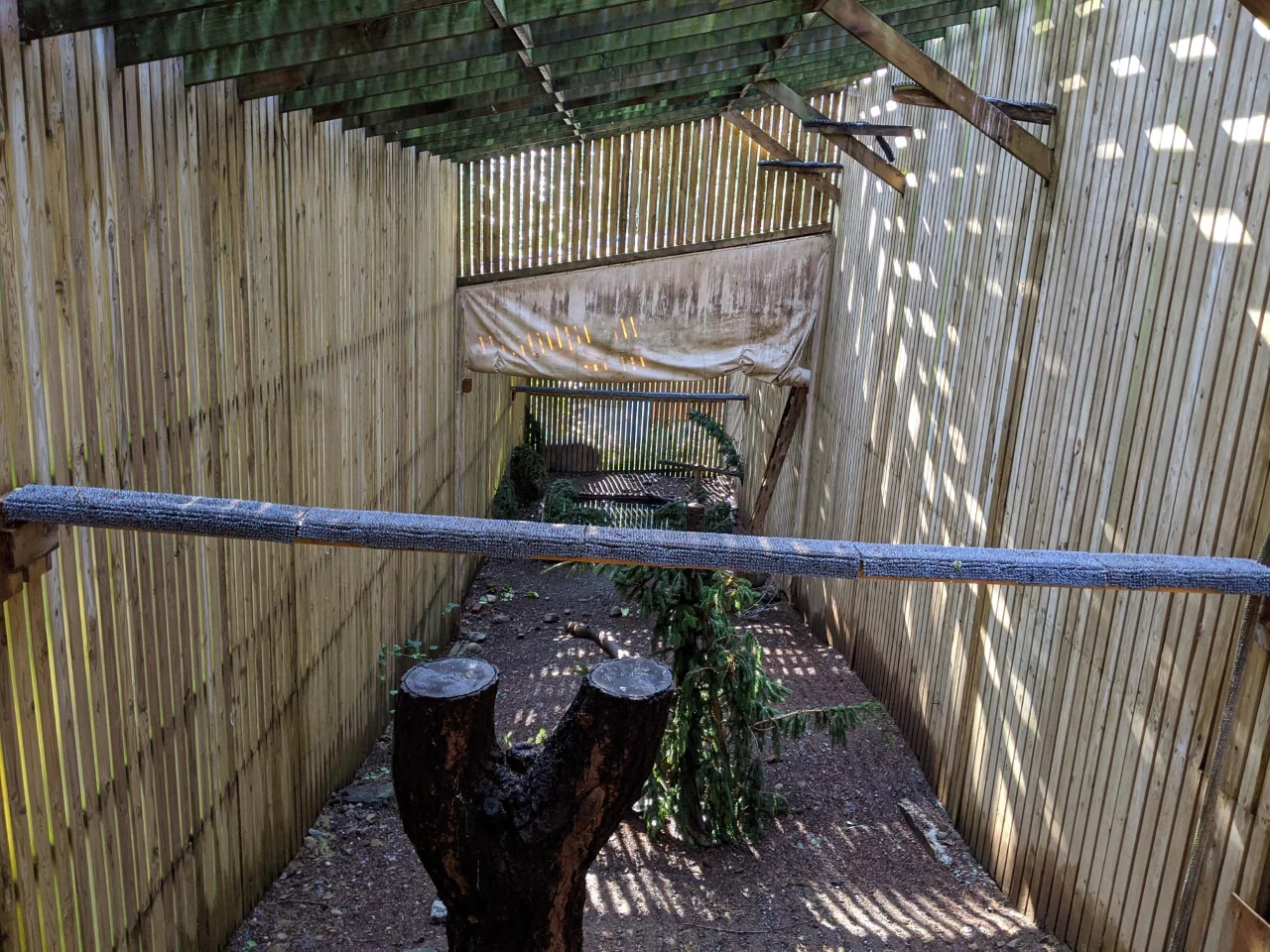 Raptor Flight Pen - Wild ARC - Image 6