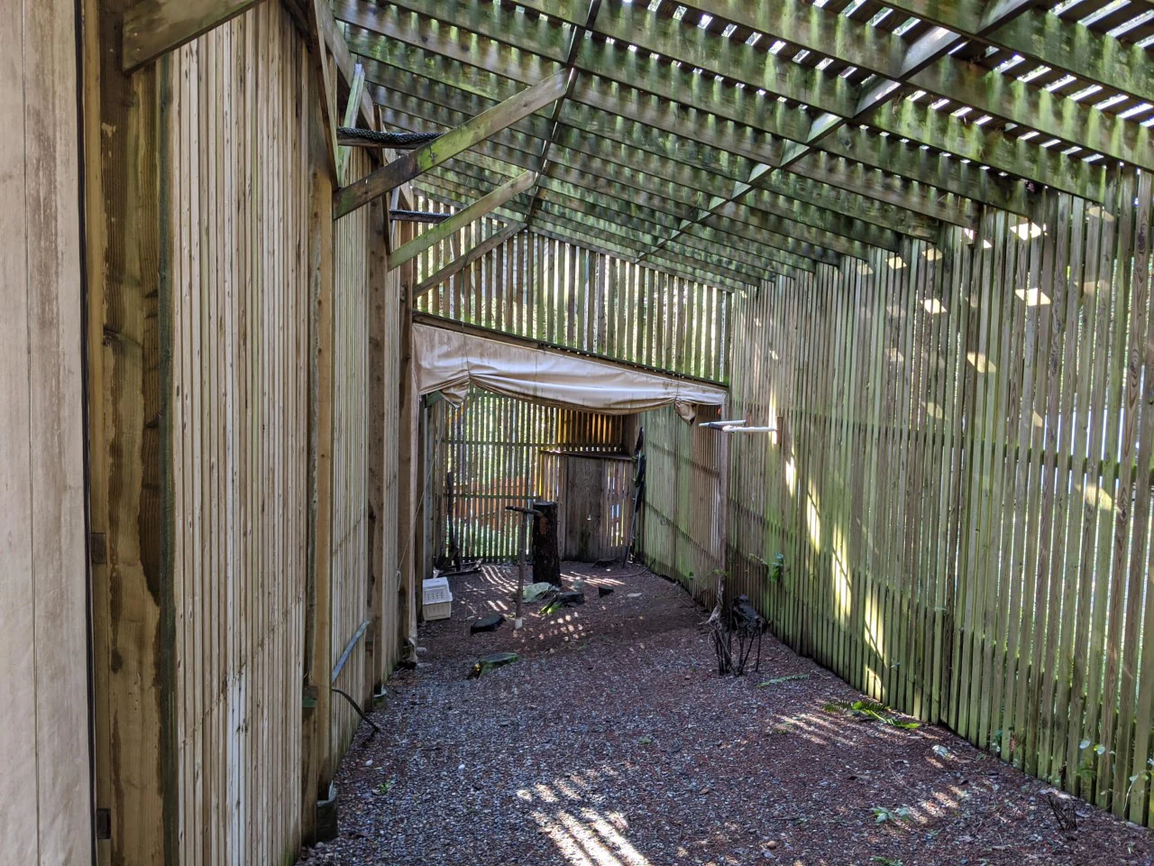 Raptor Flight Pen - Wild ARC - Image 7
