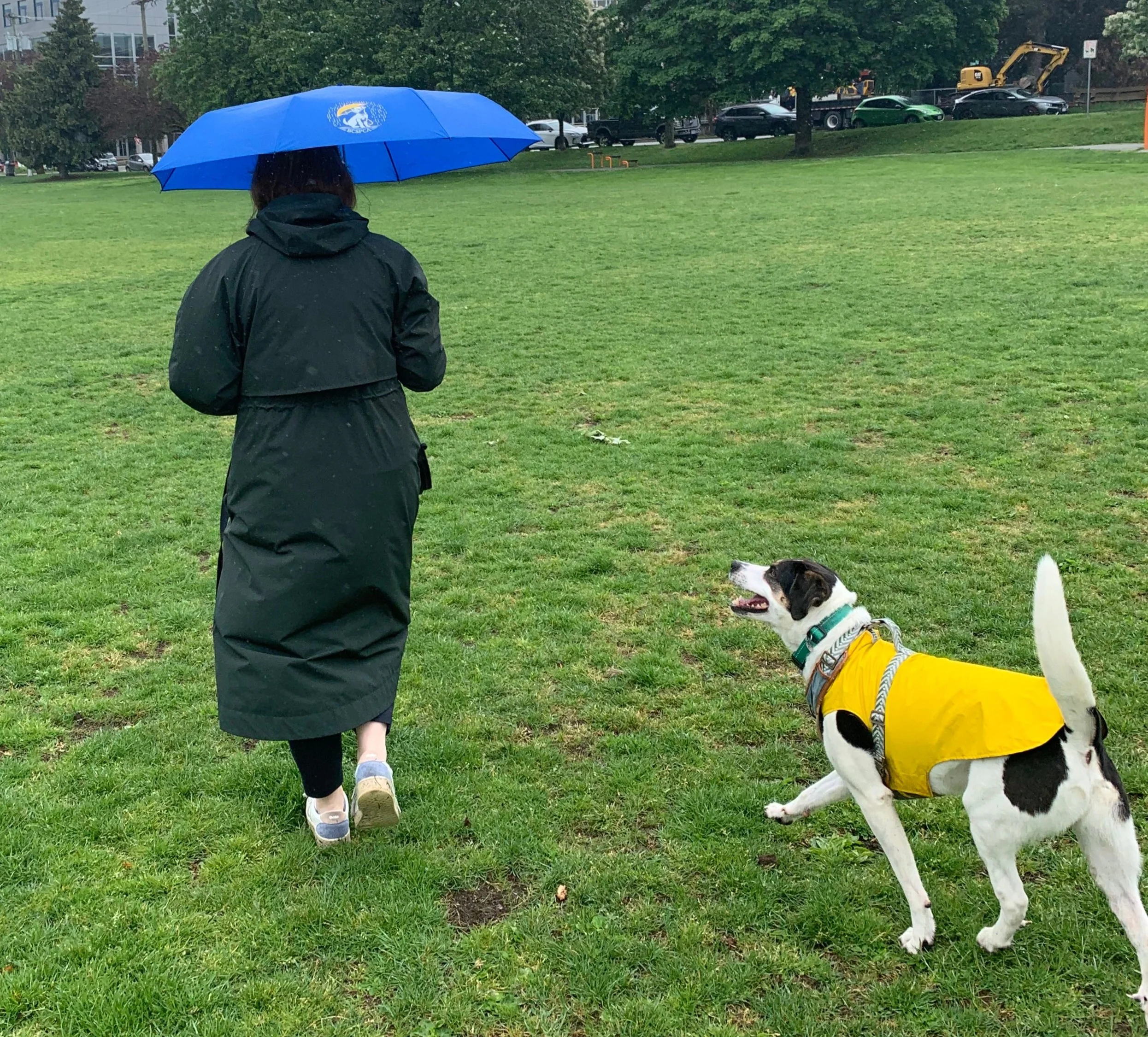 Umbrella - Image 5