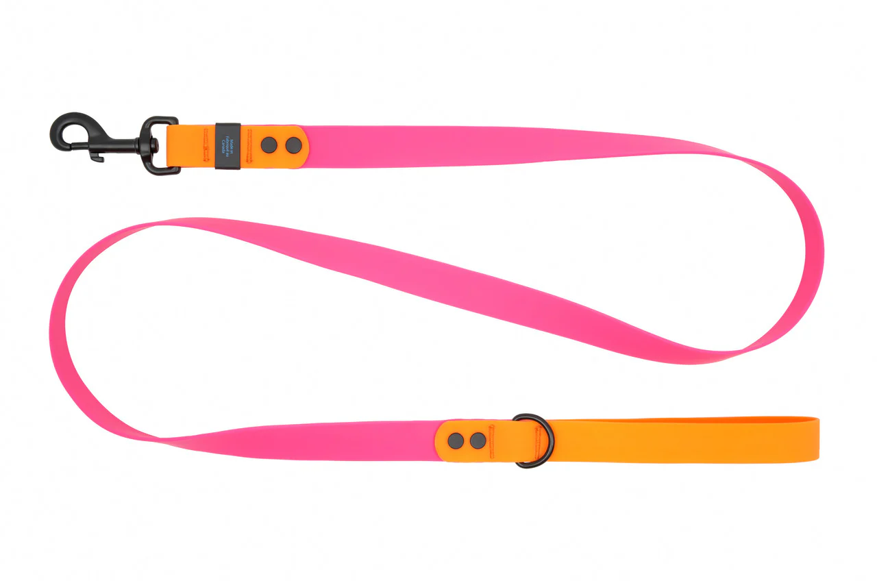 Waterproof Leash - Image 4