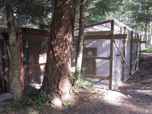 Outdoor Avian Enclosure - Wild ARC - Image 5